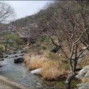 사나사(사찰 앞) 이미지