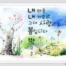 꽃사랑꽃구름