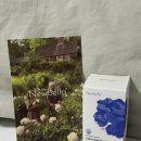박경희미국직수입가방 | NMN 관심 있다면? [뉴벨라 NMN 레스베라트롤] 직접 먹어본 후기