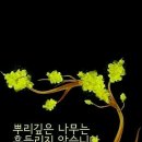 정수횟집 이미지