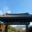 관악산코다리 이미지