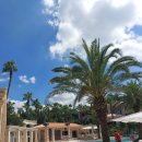 요리요리 | 제주 더 시에나 프리모 까보스코 , 고급스러운 한식다이닝 디너 코스요리 후기