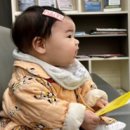 아이편한 동물의료센터 이미지