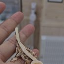 마뱀이룸