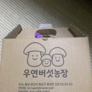 우연농장 | 천안 건강식 재료 추천 유기농 버섯농장 우연