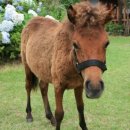 로그밸리 이미지