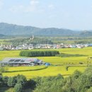 대마2리 이미지