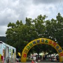 파랑새제과 | 고창 1박2일 여행 코스 완전정복 (라벤더·봉주르빵집·파랑새제과·수박복분자축제 총정리)