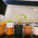 플레르주주