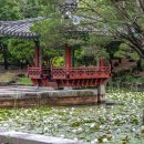 여미지식물원 이미지