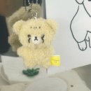 (주)포스텍 부산공장 | 후지나가 사쿠야 생일 D-1 | 부산 생일 카페 후기 &amp; 11월 둘째주 주말 일상 🎀💗💝