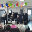 춘천시동물보호센터 이미지