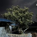 향미식육식당 이미지