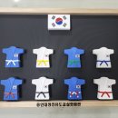 용인대정진유도교실 화원관 이미지