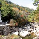 진벌 | &lt;7&gt; 해인사 무명승 - 수령의 아들을 가르쳐 깨우치다