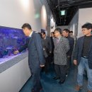 화진포해양박물관 이미지