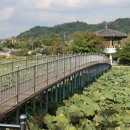 곡성-258 티스토리