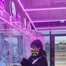 개쩐다뽑기 이미지