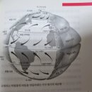 [후기] 오리진, 루이스 다트넬 저, 이충호 역, 흐름출판, 2020년