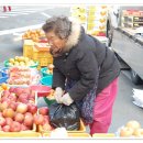 완도읍-12 이미지