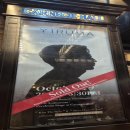 피아니스트 이루마 공연 이미지