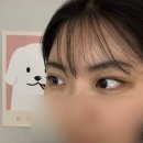 경기도 수원시 팔달구 효원로193번길 11 (인계동) | 인계동 속눈썹펌 잘하는 곳 추천 ‘미니모’ 꼼꼼한 시술 후기