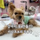 차근차근 옷 만들기(야간) | 강아지옷 만들기 미싱 공방 초급반 3주차 후기(케이프, 실내복, 양면조끼 DIY)
