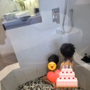 강변하바나 | 참파아일랜드 리조트, 씨에스타호텔 내돈내산 후기