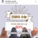 샵무드레이