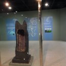 성신여자대학교 자연사박물관 이미지