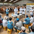 소격리농장 이미지