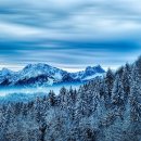 선곡초교 이미지