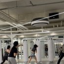 뮤직비트복싱 | ​[송파/오금동] 살이 안 빠질 수가 없는 뮤직복싱 &amp; 태보!무료수업 후기