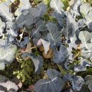 그곳 팬션 민박 이미지