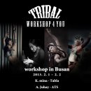 [부산 / 대구] Tribal WorkShop 4 You 이미지