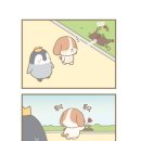 신문활용과 논술 이미지