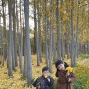 수기근통안마원 | 경주 힐링 여행코스로 으랏차차 안마원 어때요? 후기 이벤트중! #경주도리마을 가을경주