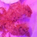 조아당구클럽 이미지