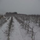 샛터농장 이미지