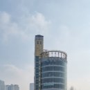 퍼피파라다이스 이미지