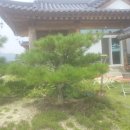 검바우농장 이미지