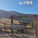 아름다운밀양농장 | 영남알프스 울산 간월재 억새 최단코스 소요시간 주차 정보 &amp; 아이와 등산 후기