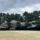 파스타시즌 이미지