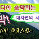 대박오토바이 이미지