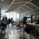 라피네 애견스파 이미지