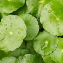 하이워시 이미지