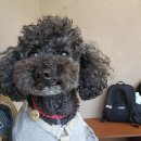 카이의 두 번째 제주여행 이미지