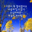 11월6일 오늘도 화이팅입니다,뉴스 이미지