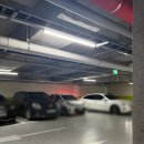 강아지테마미용실 | [영종도 애견카페 댕댕존] 인천 실내&amp;실외 애견카페 추천(포토존 강추)