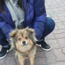 익산주현동우체국 이미지